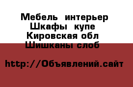 Мебель, интерьер Шкафы, купе. Кировская обл.,Шишканы слоб.